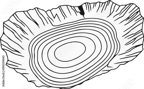 Stylized contour map of a crater or geological formation
