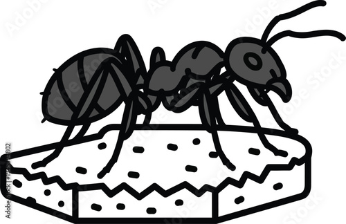 Detailed Illustration of an Ant on a Textured Surface.
