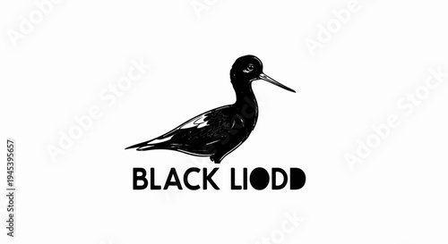 Stylized black bird with a long beak stands on a white background