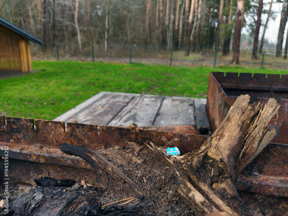 Fototapeta premium Wood sitting on a rusty grill near a forest backdrop in the outdoors