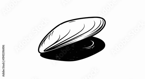 Stylized line drawing of an open mussel shell with shadow