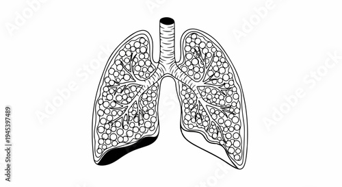Stylized black and white illustration of human lungs showing internal structure