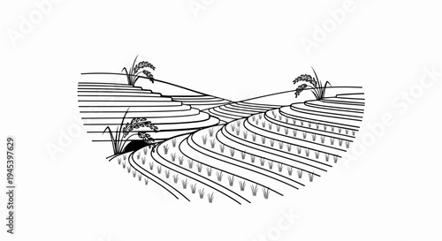 Stylized black and white illustration of contoured rice terraces with green stalks