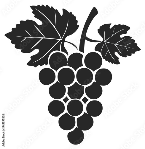 Grapes Cluster with Leaves Vector Illustration for Wine Making Vineyard Dark Silhouette
