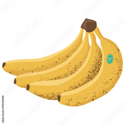 Overripe spotted banana bunch with brown freckles on the peel, cartoon vector illustration