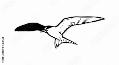 Stylized black and white illustration of a tern in flight