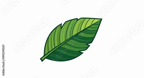 Stylized green leaf with textured veins against a white background