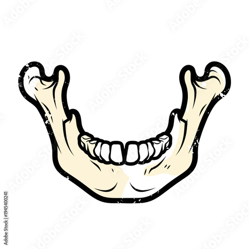 Human Jawbone with Teeth Illustration