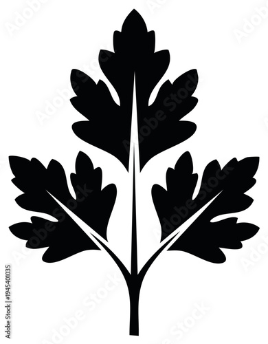 Stylized black parsley herb leaf silhouette simple vector graphic for cooking and garnish designs