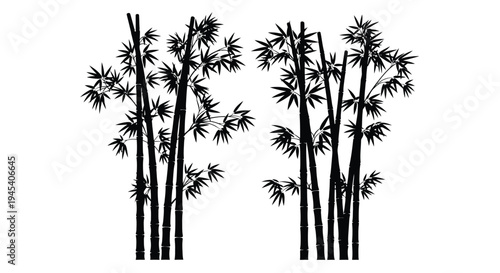 Elegant bamboo stalks and leaves create a striking black silhouette