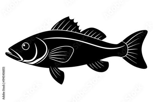Bass Fish silhouette vector, Fish icon black symbol
