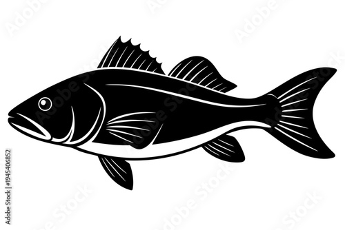 Bass Fish silhouette vector, Fish icon black symbol

