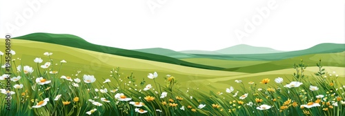 Flowers meadow hills field.