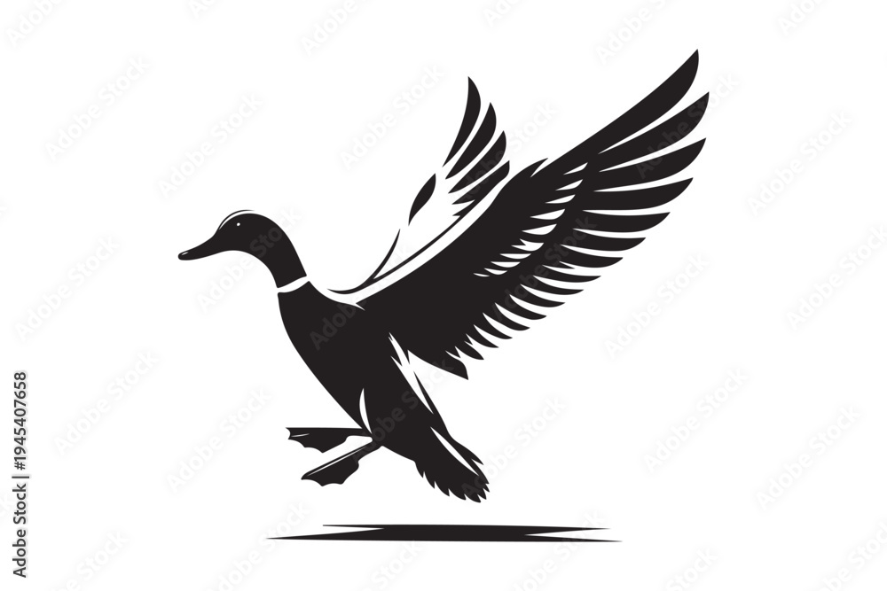 Fototapeta premium Flying mallard duck silhouette isolated on white. Wild bird waterfowl icon for hunting and nature design vector illustration.