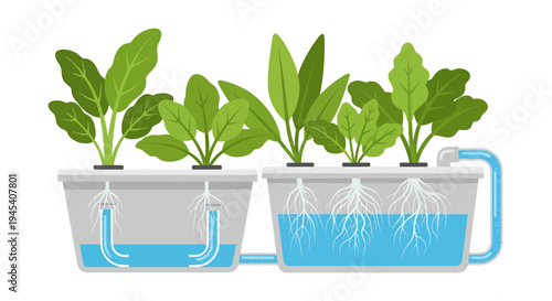Healthy Plant Cuttings Immersed in Water Cups Growth. Vector Illustrations. EPS Editable