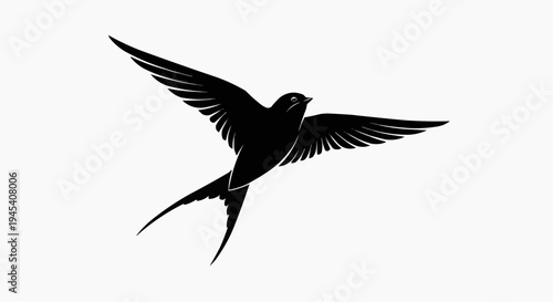 A sharp black silhouette of a swallow bird in flight with wings spread wide in a graceful motion