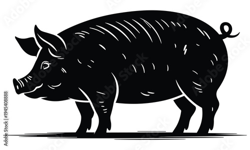 Black pig silhouette standing profile on white background, simple bold vector graphic illustration of livestock animal domestic pig.