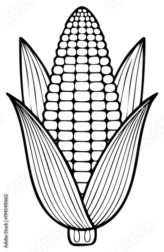 Line art illustration of an ear of corn with husks, simple black and white graphic for web design or coloring page