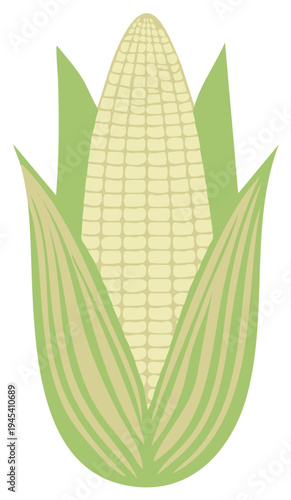 Stylized illustration of a pale yellow ear of corn with green husks and leaves isolated on white