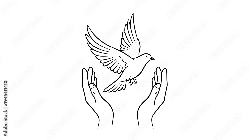 Fototapeta premium Hands releasing a white bird in flight isolated on a transparent background 1