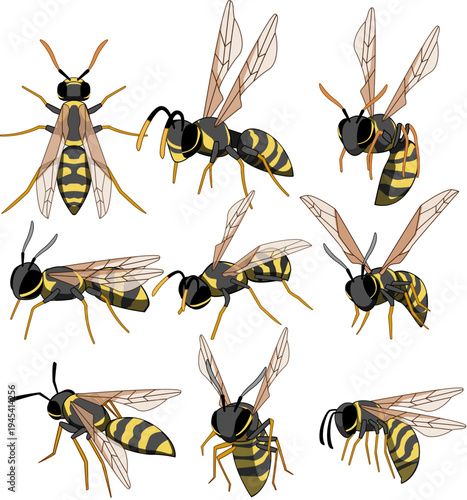 Collection of stylized wasps with black and yellow stripes displaying different poses, depicting insect behavior and serving as a useful element for design projects or educational materials