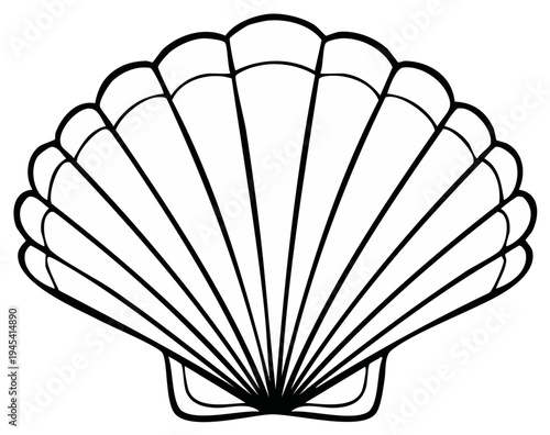 Outline illustration of a seashell with a fan-shaped design