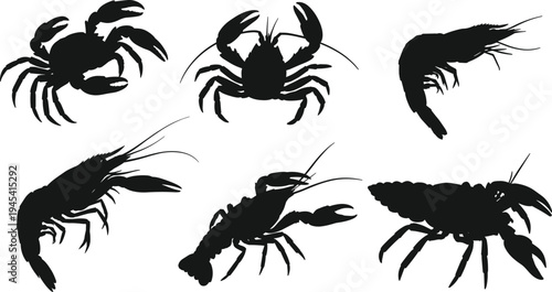 Seafood silhouettes set, collection of vector illustrations of different seafood and crustaceans in black color, on white background, isolated, for design