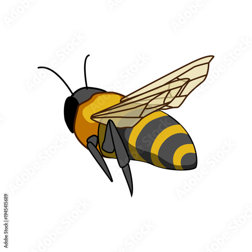 Flying honey bee in midair collecting pollen and nectar, vibrant yellow black striped pollinator symbolizing hard work, community, and summer on a clean white background