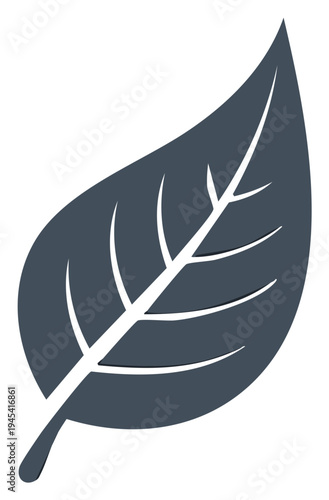 Stylized dark gray leaf icon with white veins, symbolizing nature, growth, organic life, and environmental sustainability.