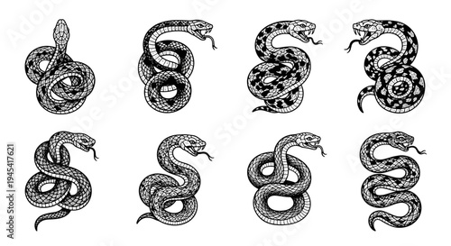 Intricate Hand-Drawn Snake Illustrations Set.