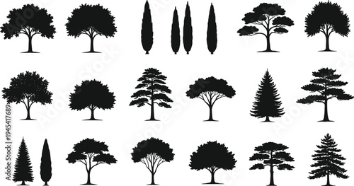 Set of various tree silhouettes. Black silhouettes of deciduous, coniferous, and cypress trees, isolated on a white background