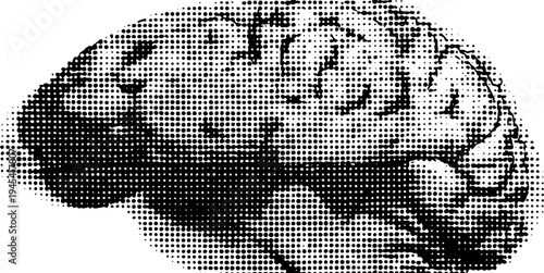 Anatomical brain halftone illustration in black and white, top view art design