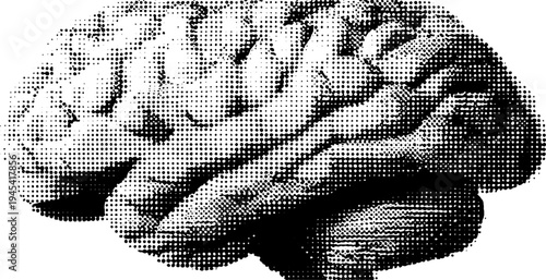 Anatomical brain top view in black and white halftone style for educational design