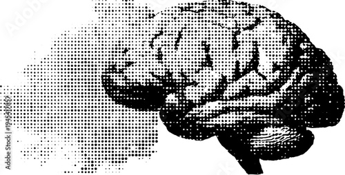 Anatomical brain top view in vintage halftone style for educational design
