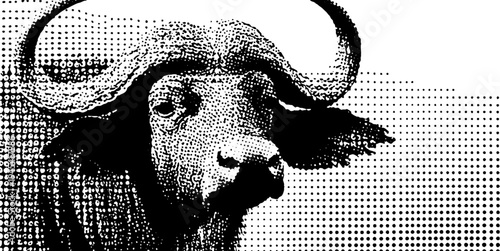 Buffalo with massive horns in black and white halftone for vintage design
