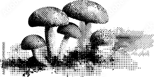 Vintage halftone mushroom cluster design for poster and print use