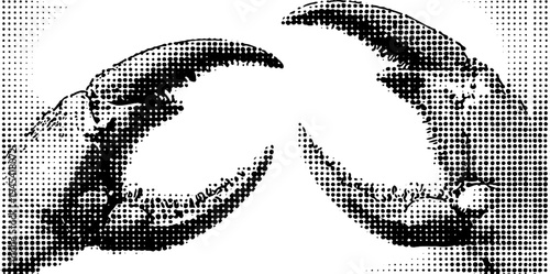 Vintage halftone crab claws in black and white for retro design