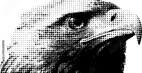 Fierce eagle head in vintage halftone style for artistic design