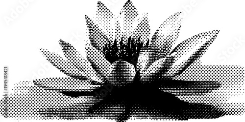 Lotus sacred flower in black and white halftone for vintage design and art projects
