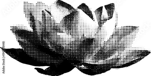 Black and white halftone illustration of sacred lotus flower