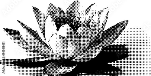 Sacred lotus flower in black and white halftone design for artistic prints