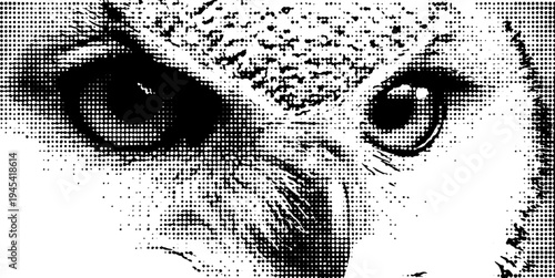 Intricate owl eyes in black and white halftone illustration for artistic designs