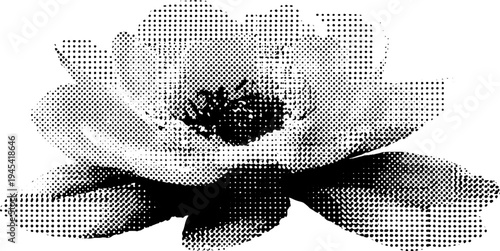Peony flower layered petals in black and white halftone design