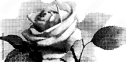 Rose with thorns in spiral design black and white halftone effect for vintage art and decor