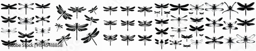 Vector set image silhouette of dragonfly