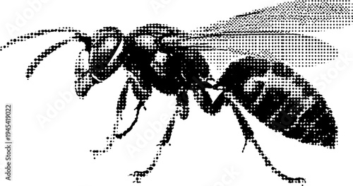 Aggressive wasp in black and white halftone effect for vintage design