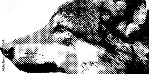 Detailed wolf head side profile in black and white halftone for art and design