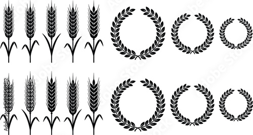 Wheat, laurel, wreath, grain, agriculture, harvest, cereal, plant, farming, organic, bakery, emblem, symbol, nature, botanical, silhouette, vector, collection, food, decoration