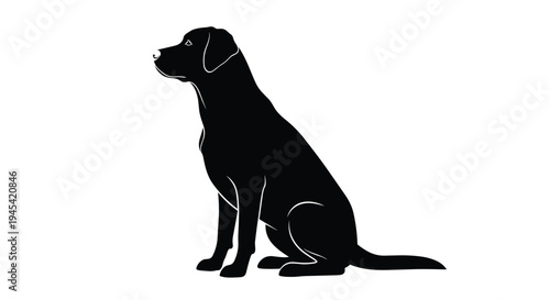 Elegant black silhouette of a Labrador retriever sitting obediently against a clean white background, showing its loyal posture.