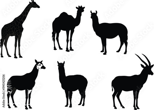 Silhouettes of diverse ungulate animals, including a giraffe, camel, alpaca, okapi, and oryx, in a detailed, black-and-white vector illustration